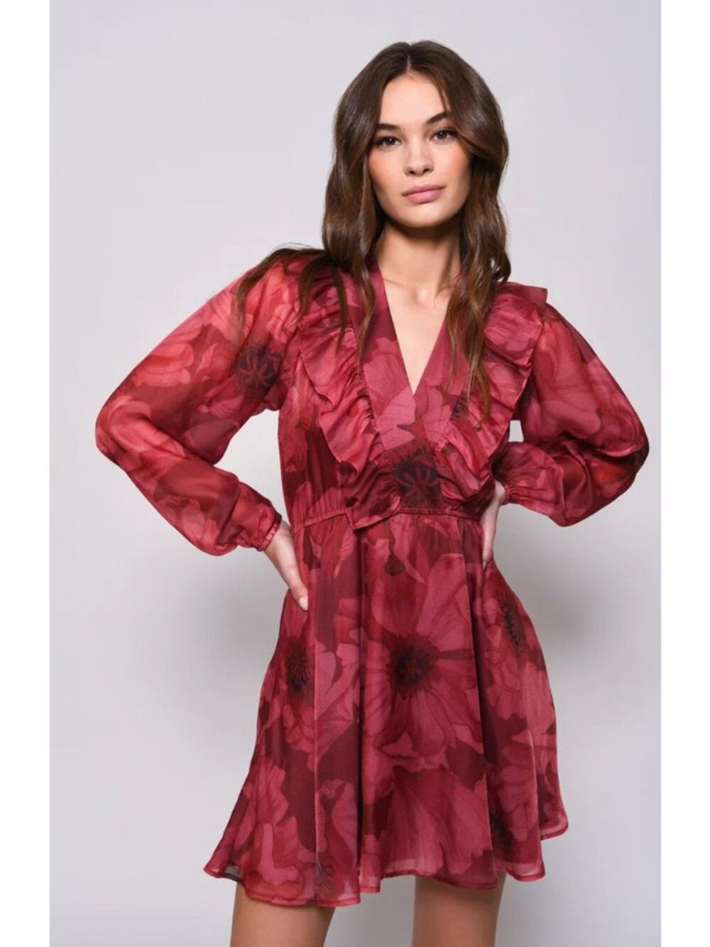 Hutch Tara Floral Ruffle Mini Dress Size XS L
